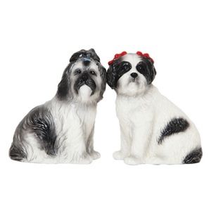 AUCTION PRICE👩🏻‍⚖️ SHIH TZU SP Shakers